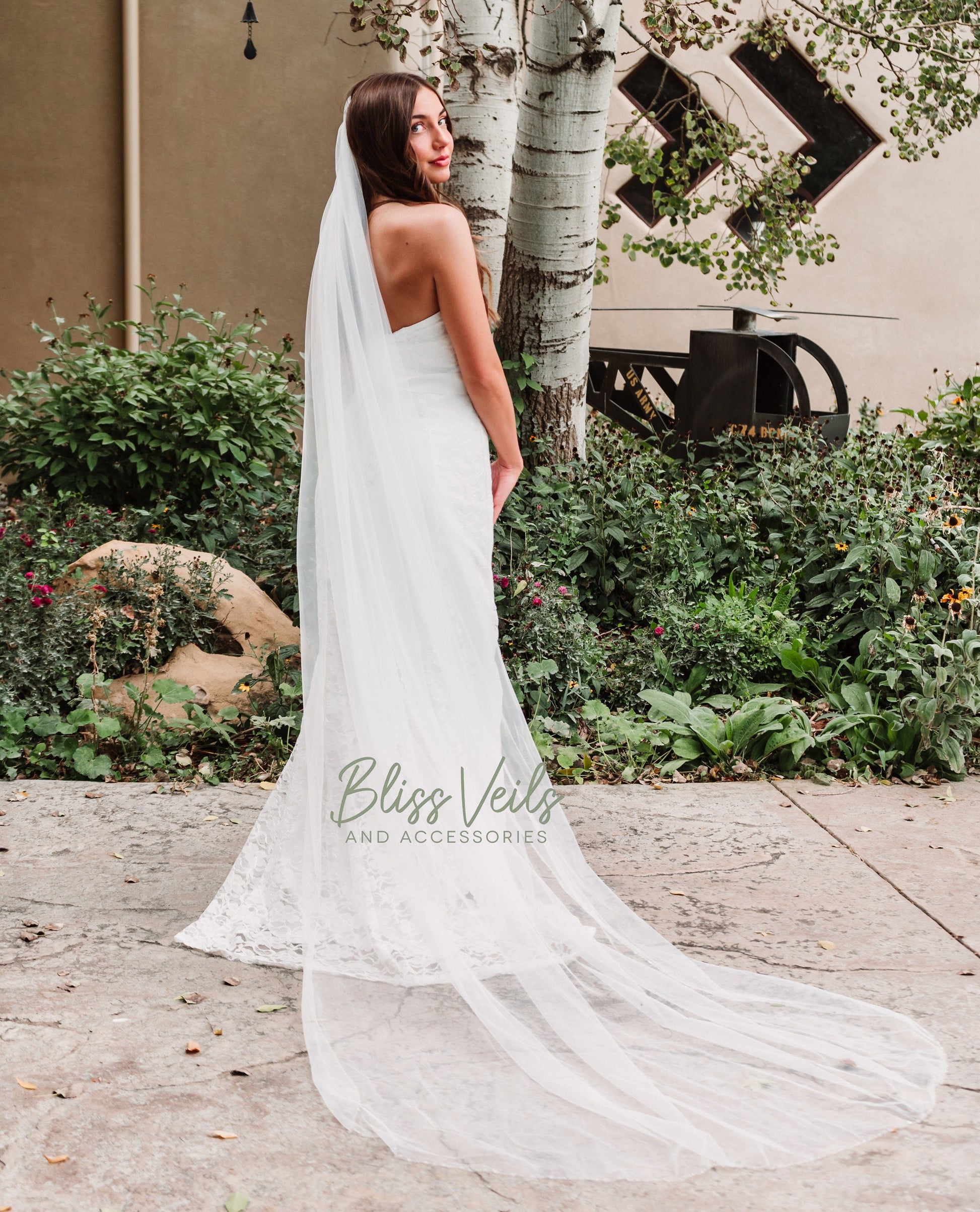Bridal veil with crystal and rhinestone trim